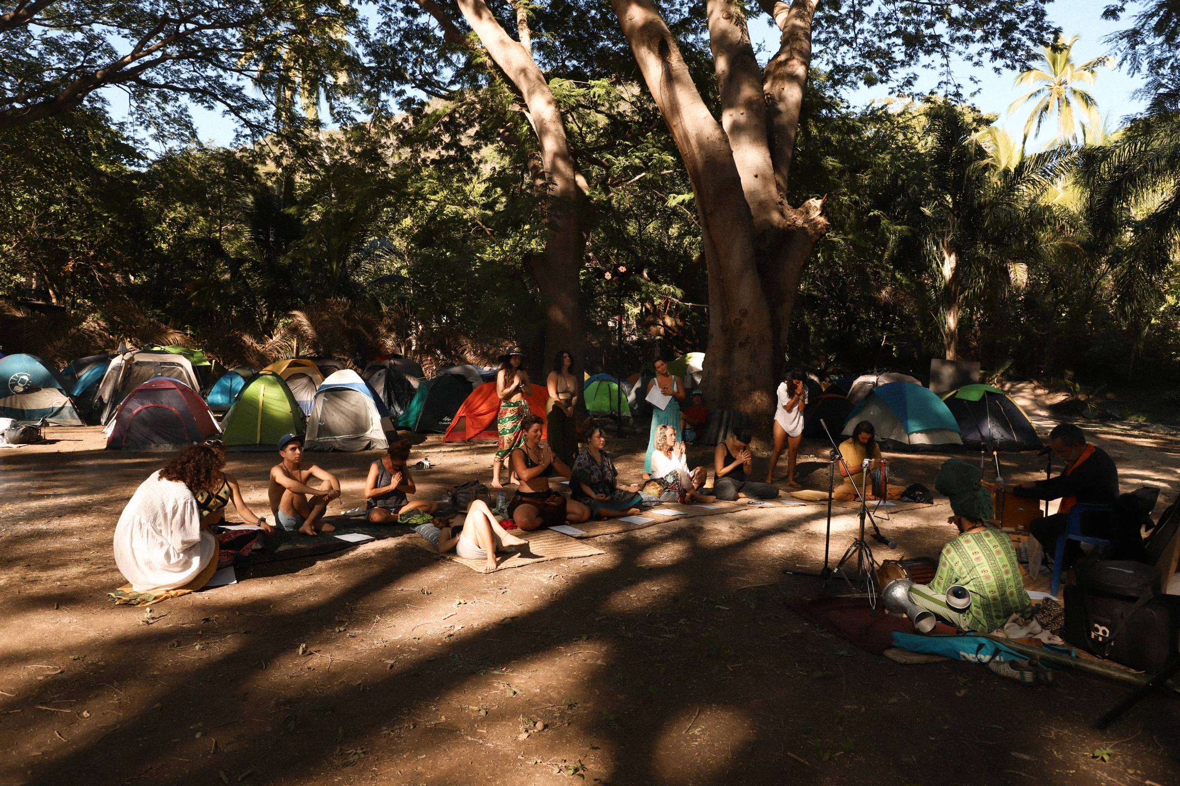 A small gathering in the shade of the trees