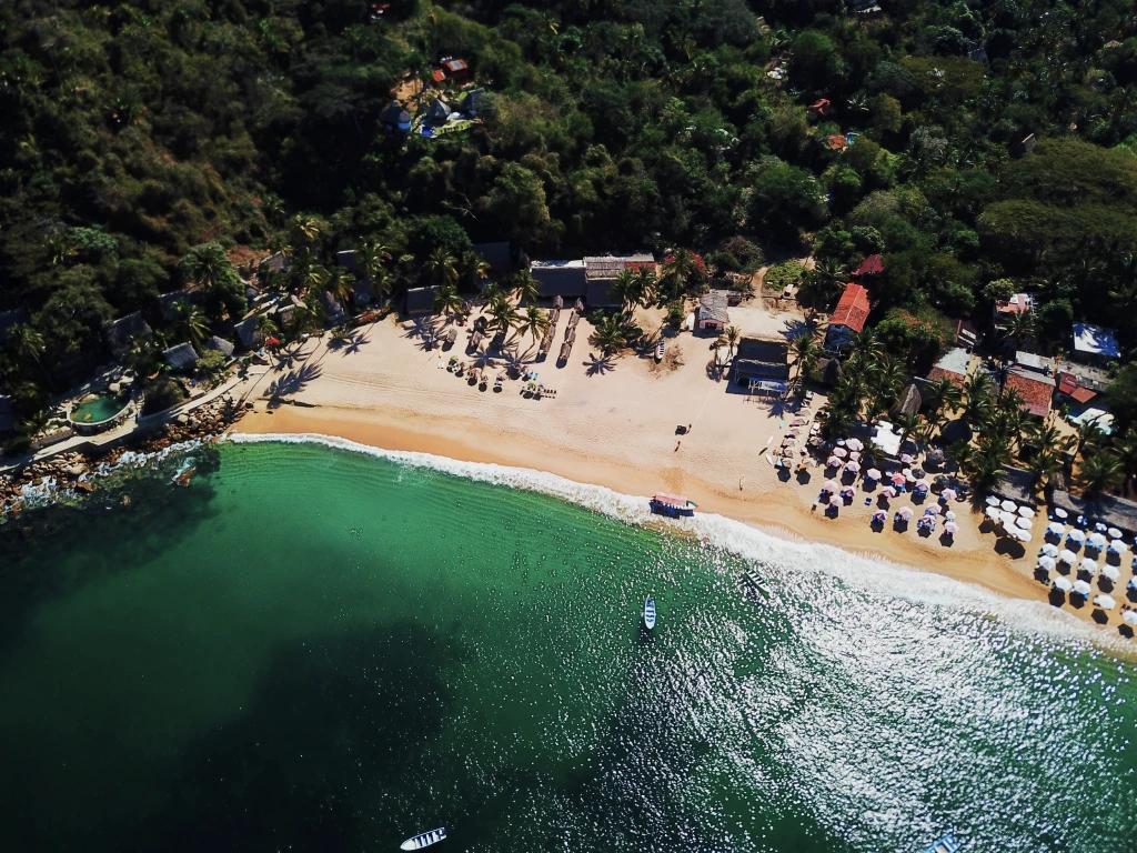 An aerial view of the beach and jungle